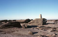 kinder low